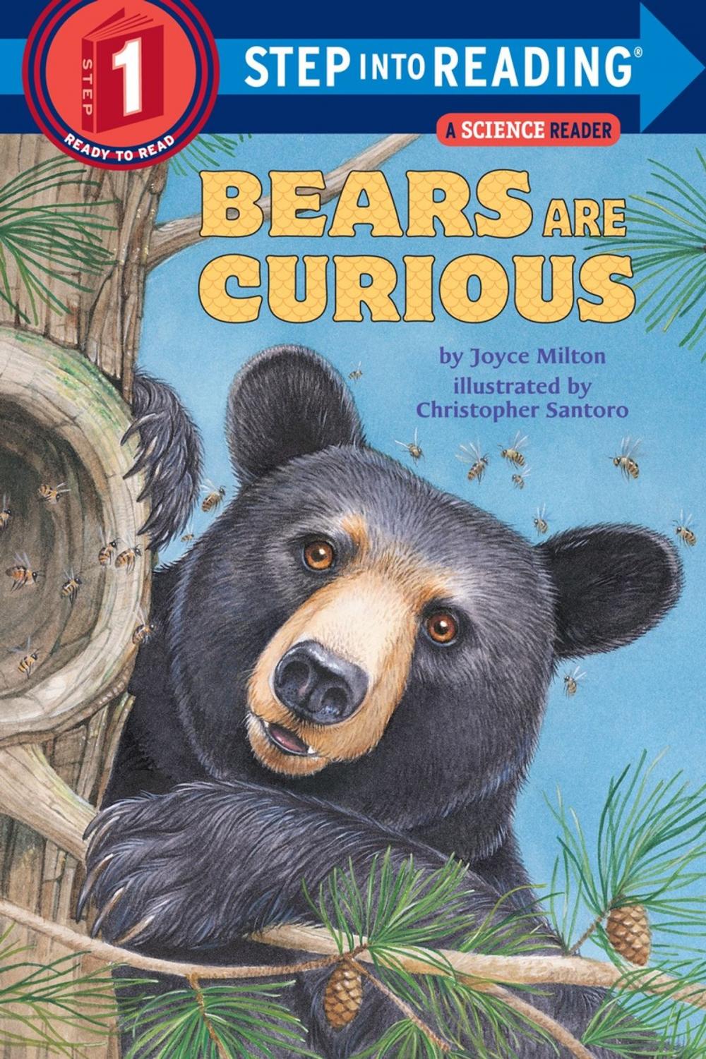 Big bigCover of Bears Are Curious