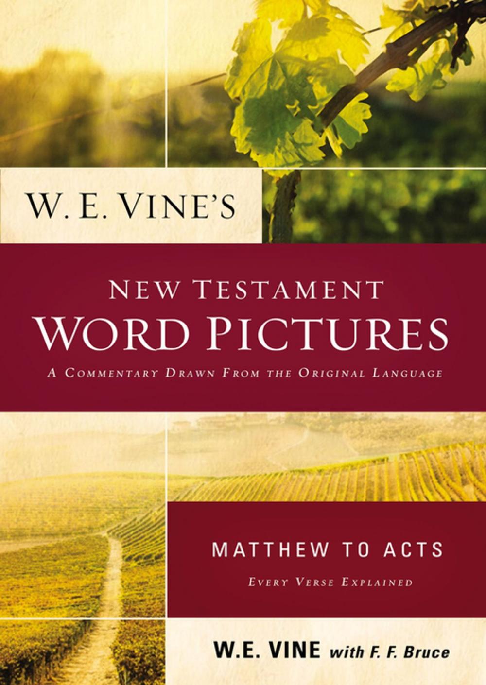 Big bigCover of W. E. Vine's New Testament Word Pictures: Matthew to Acts