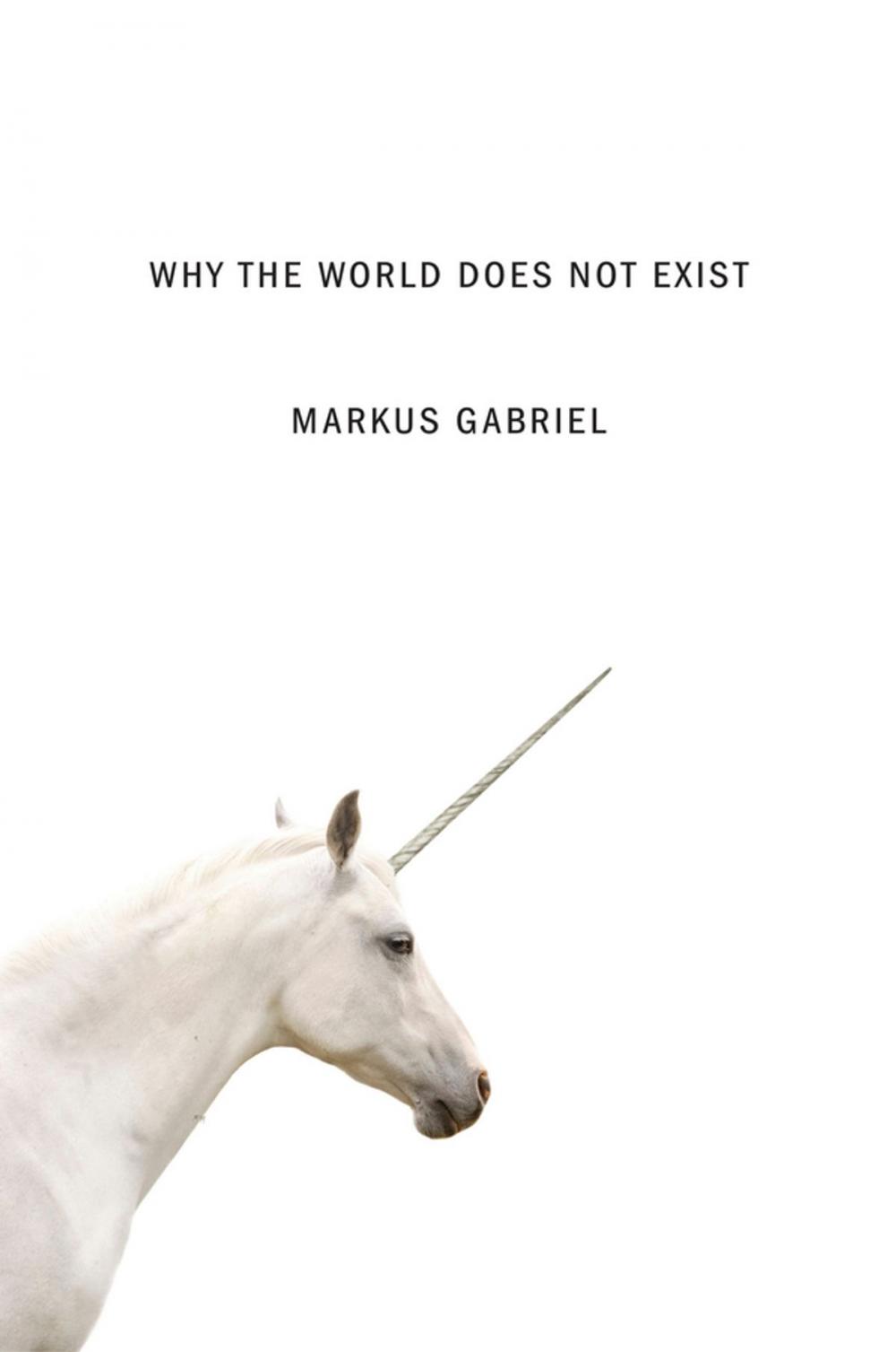 Big bigCover of Why the World Does Not Exist