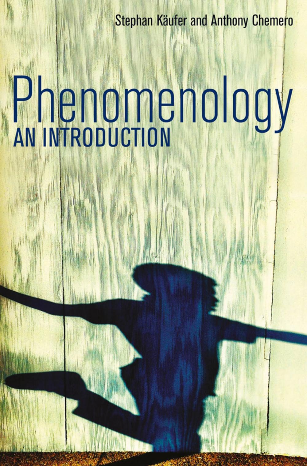 Big bigCover of Phenomenology