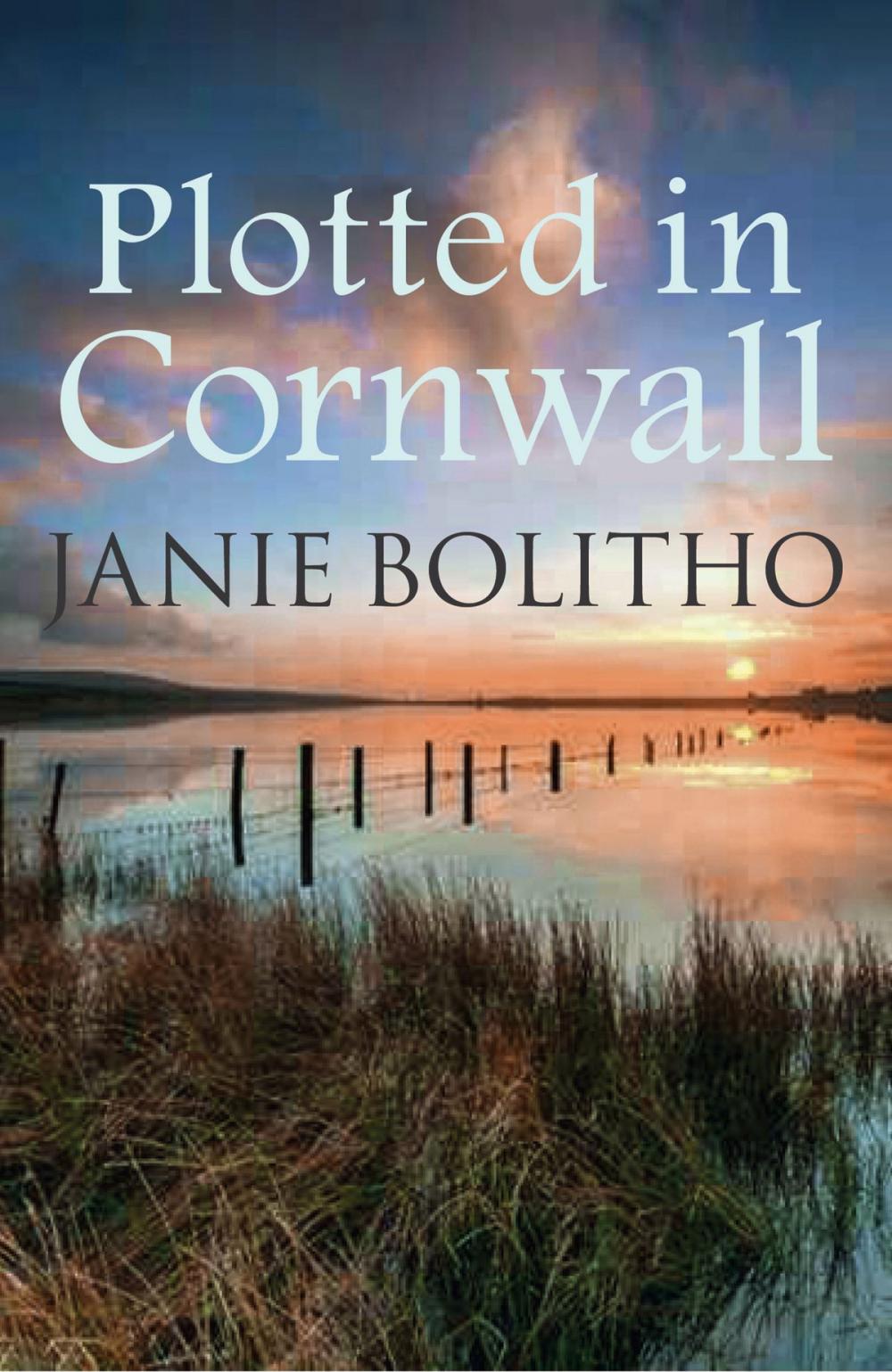 Big bigCover of Plotted in Cornwall