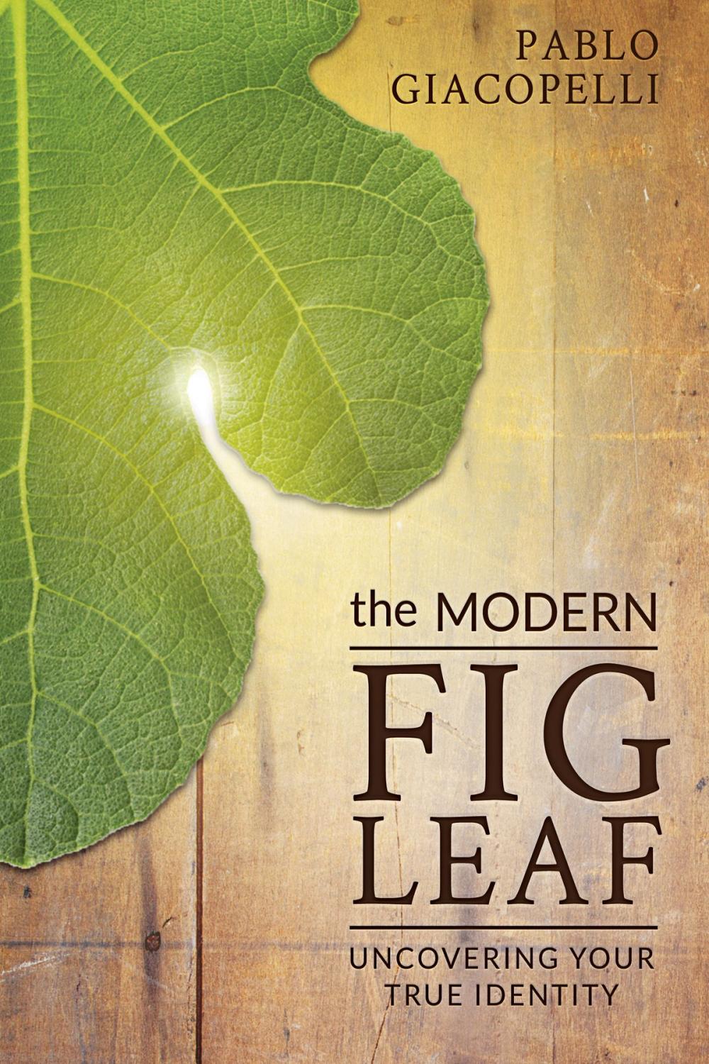Big bigCover of The Modern Fig Leaf