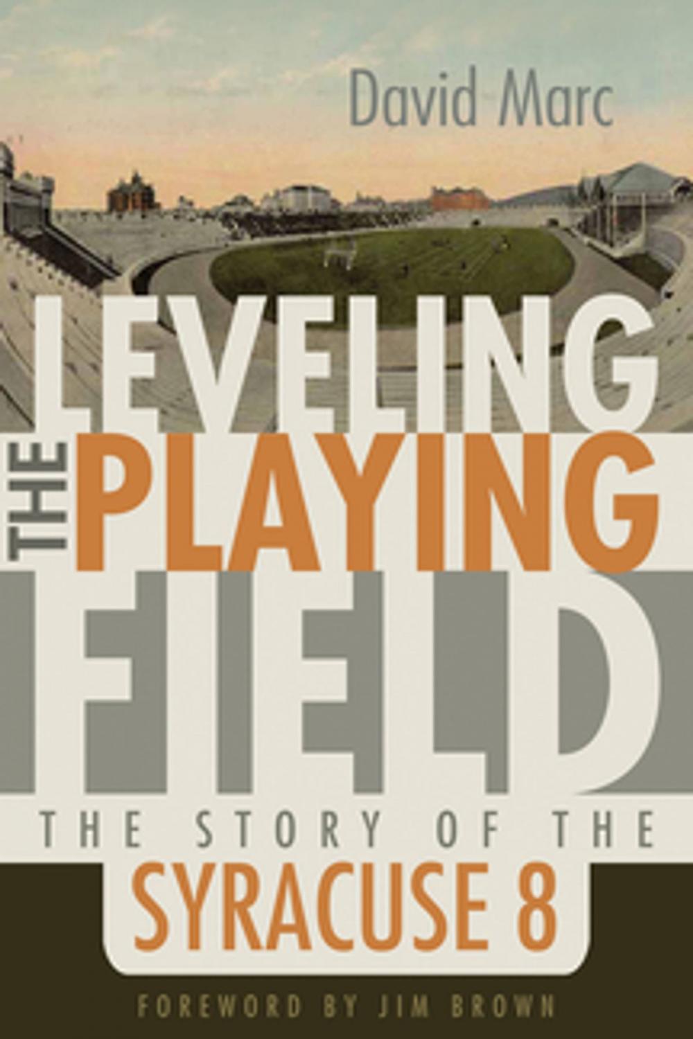 Big bigCover of Leveling the Playing Field