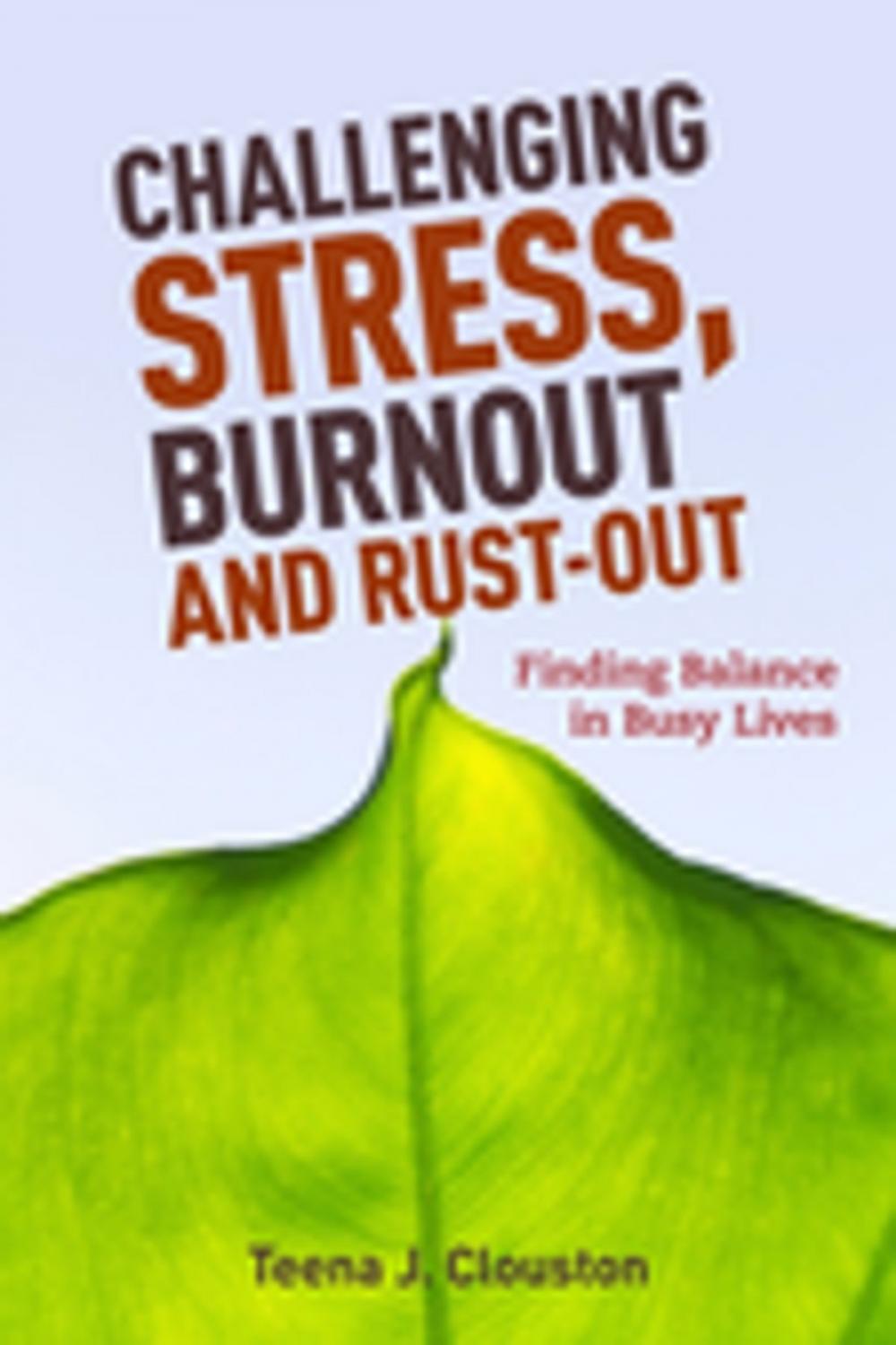 Big bigCover of Challenging Stress, Burnout and Rust-Out