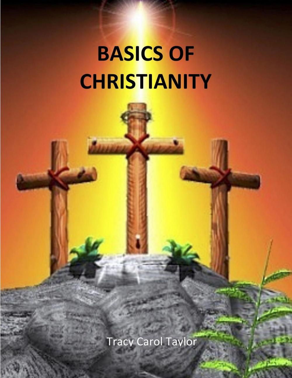 Big bigCover of Basics of Christianity