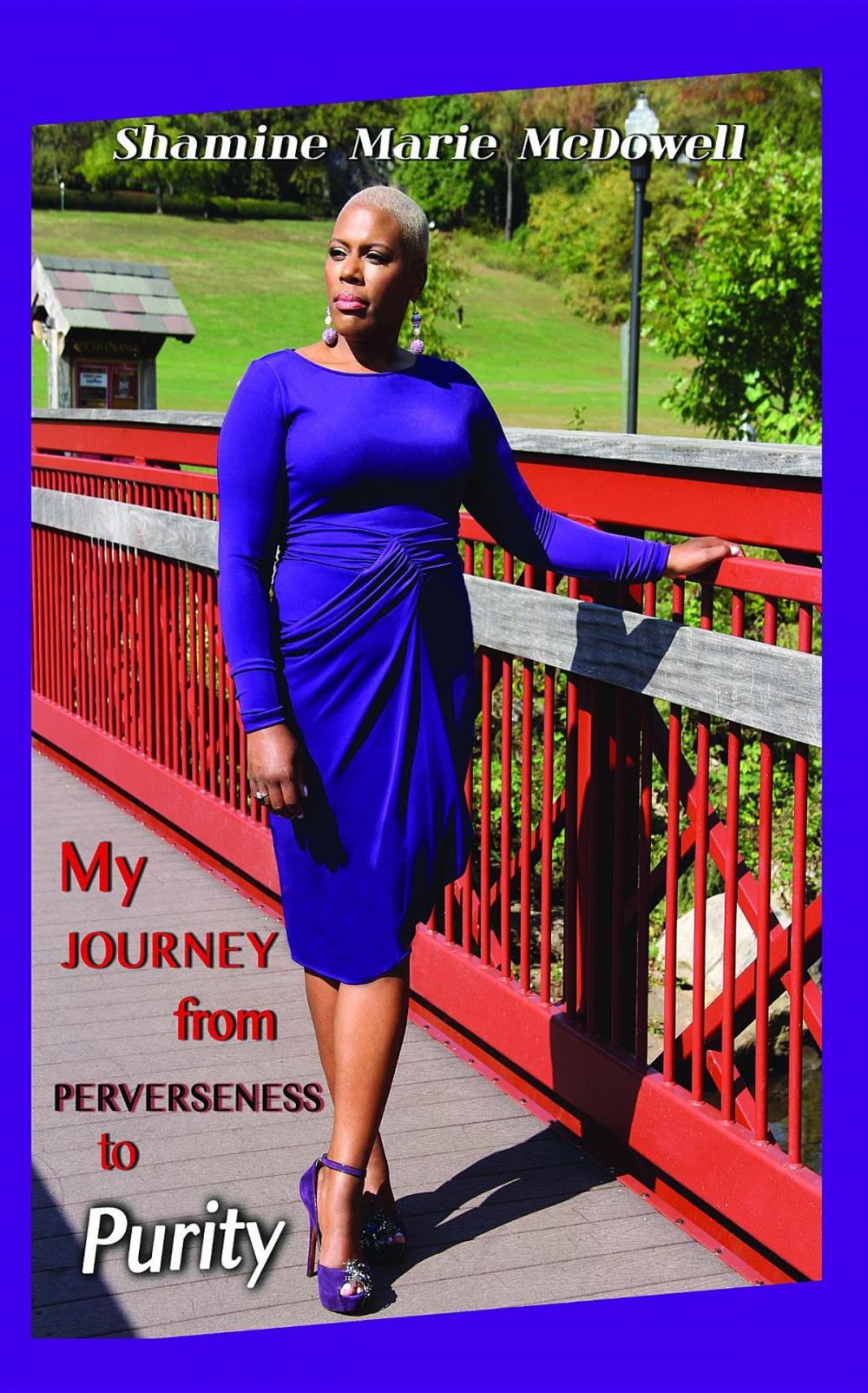 Big bigCover of My Journey from Perverseness to Purity