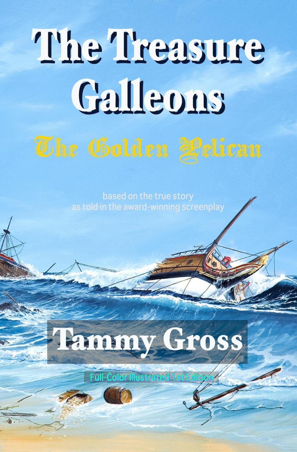 Big bigCover of The Treasure Galleons