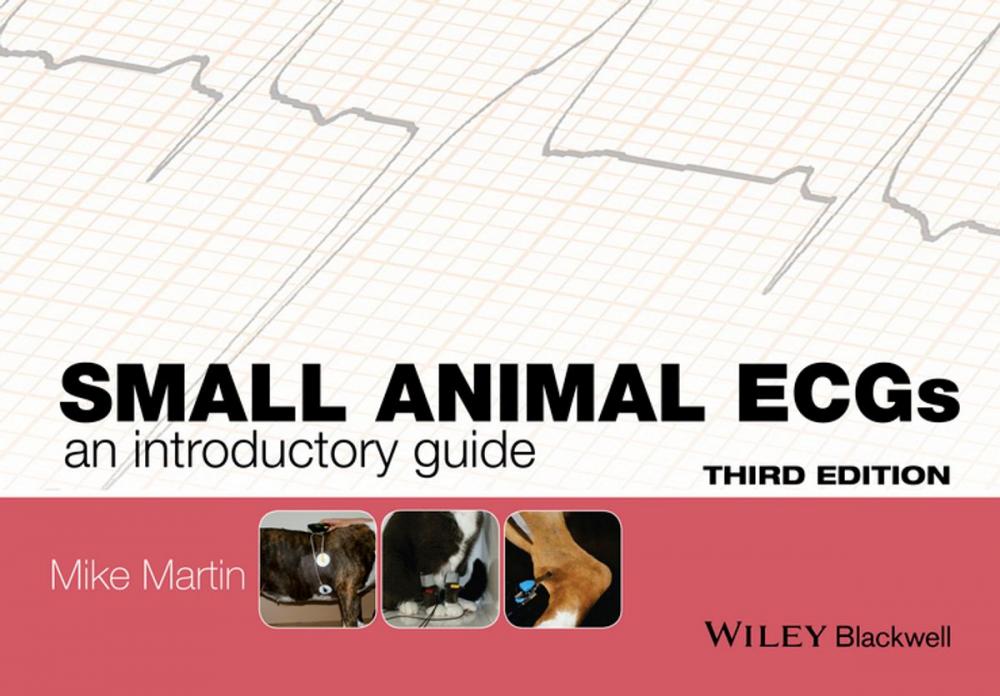 Big bigCover of Small Animal ECGs