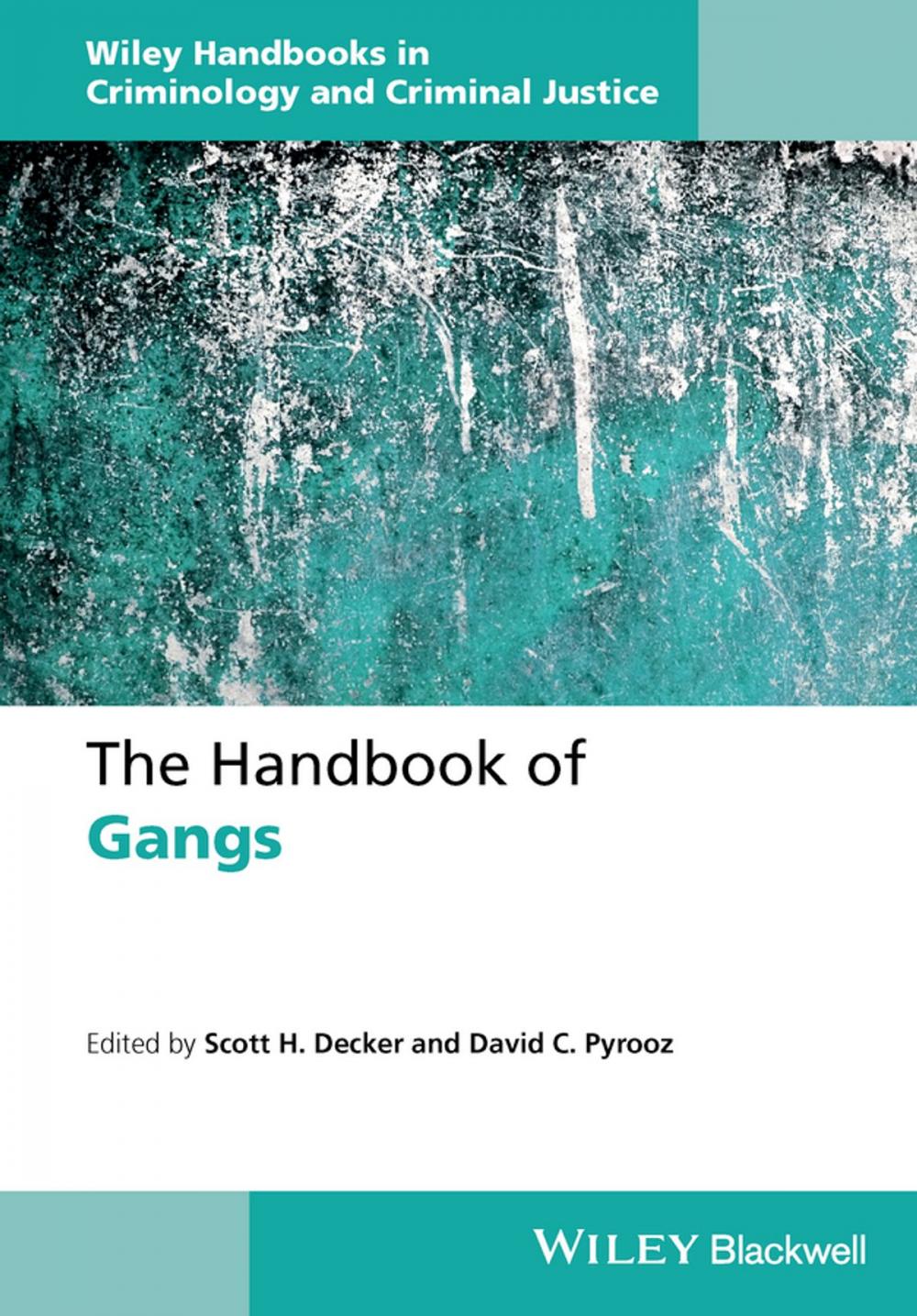 Big bigCover of The Handbook of Gangs