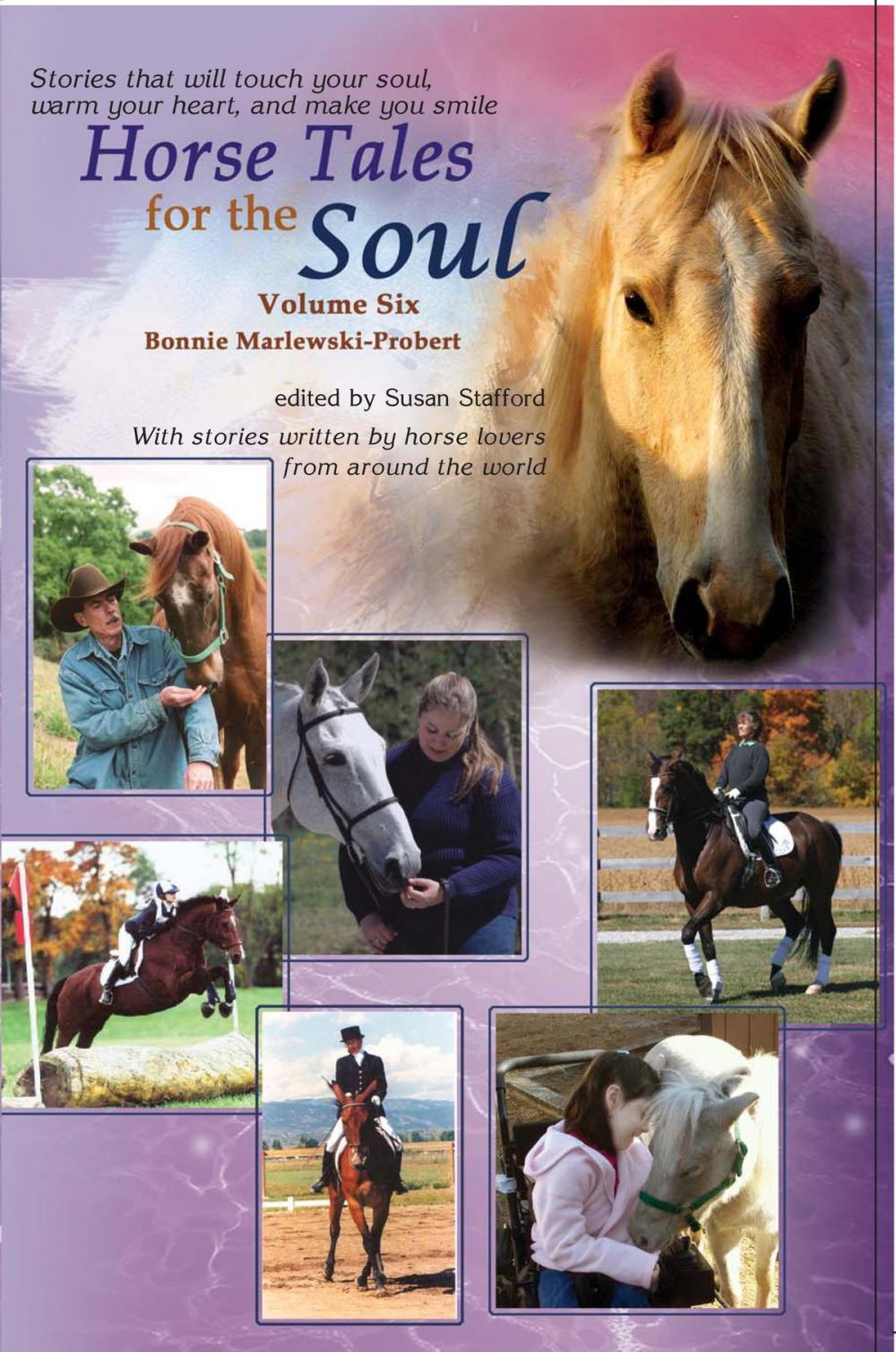 Big bigCover of Horse Tales for the Soul, Volume 6