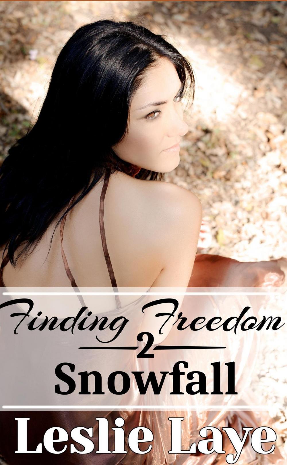 Big bigCover of Finding Freedom 2: Snowfall