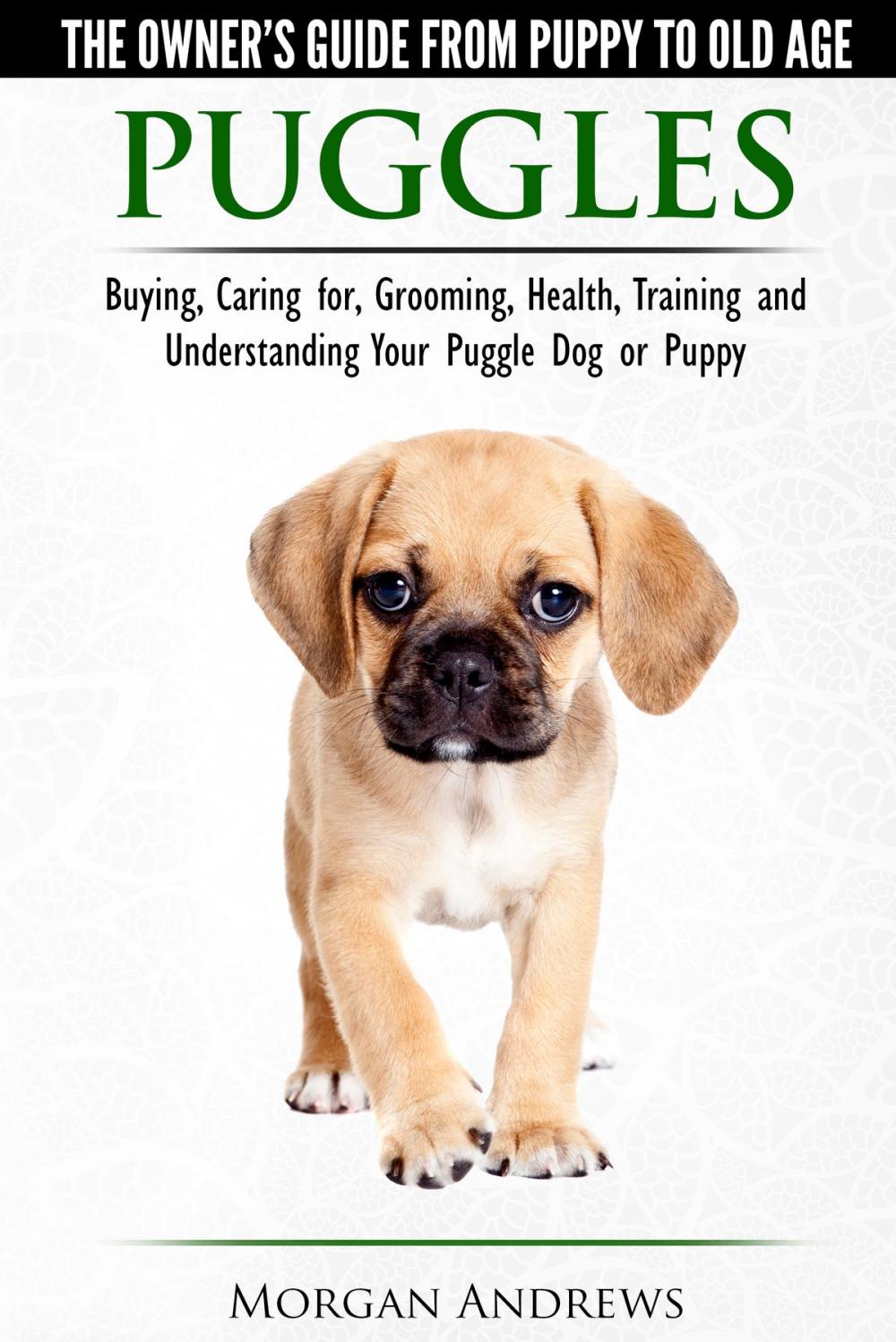 Big bigCover of Puggles: The Owner’s Guide from Puppy to Old Age - Choosing, Caring for, Grooming, Health, Training and Understanding Your Puggle Dog or Puppy