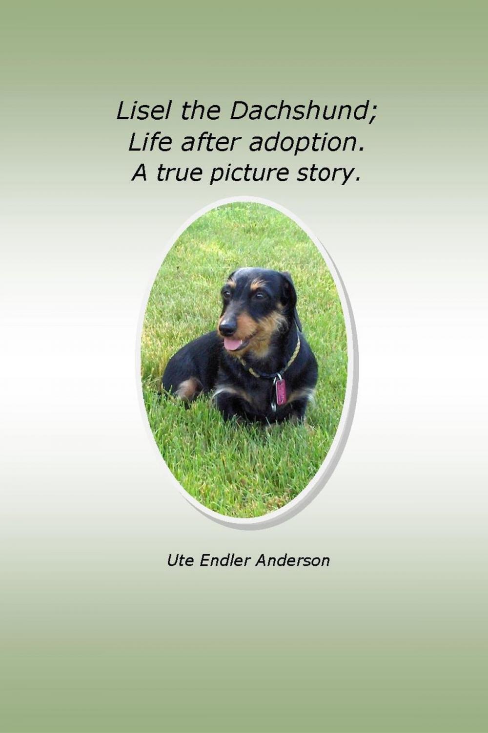 Big bigCover of Lisel The Dachshund; Life after adoption. A true picture story.