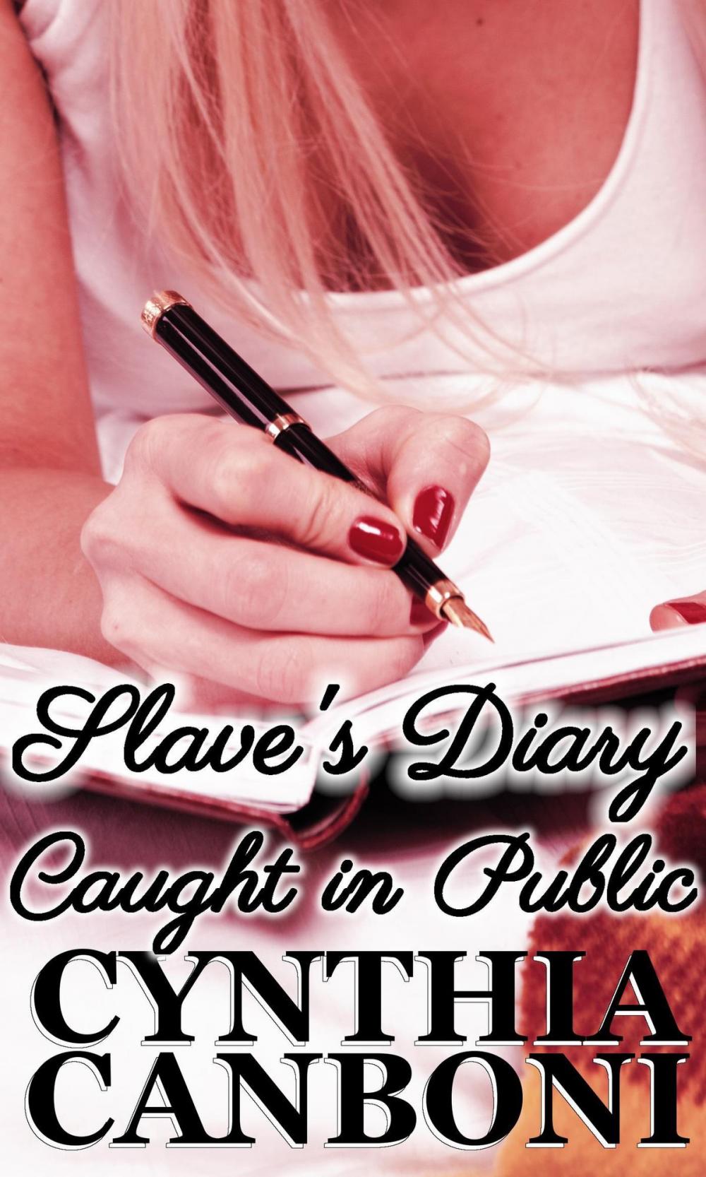 Big bigCover of Slave's Diary: Caught in Public