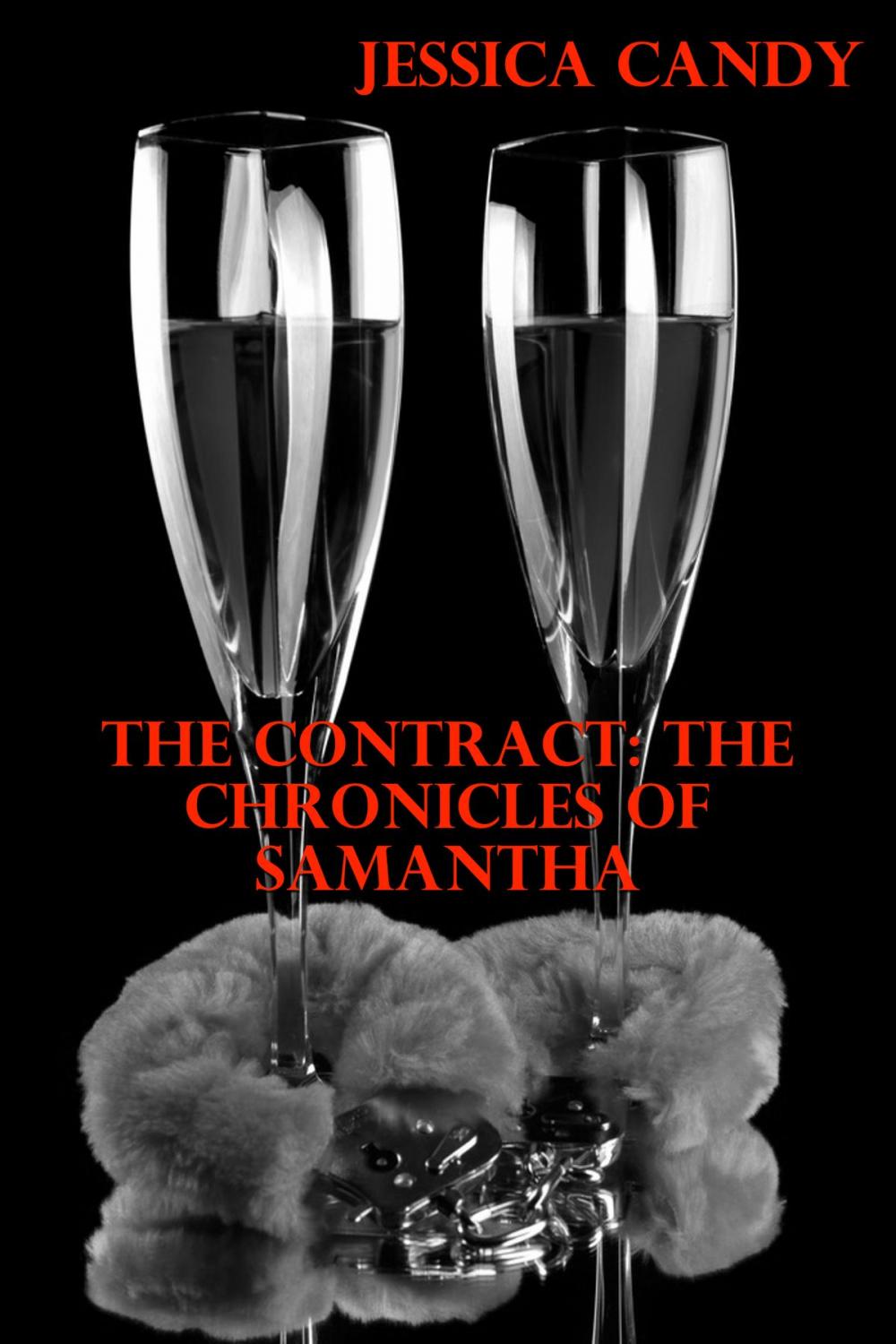 Big bigCover of The Contract: The Chronicles Of Samantha