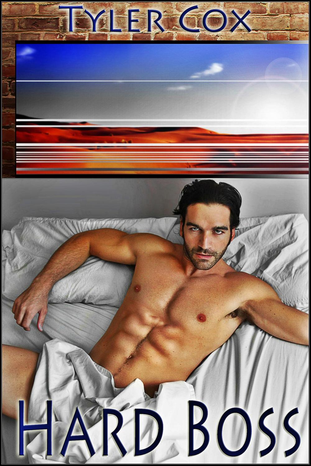 Big bigCover of Hard Boss (Gay MM Erotic Romance)