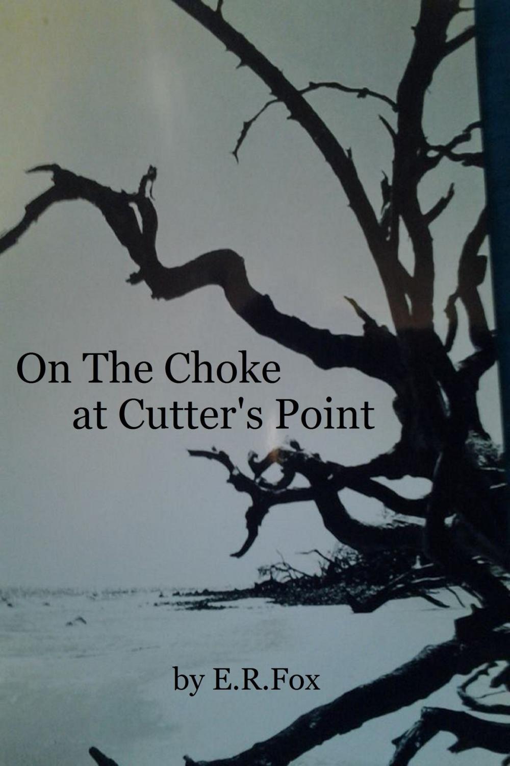 Big bigCover of On the Choke at Cutter's Point