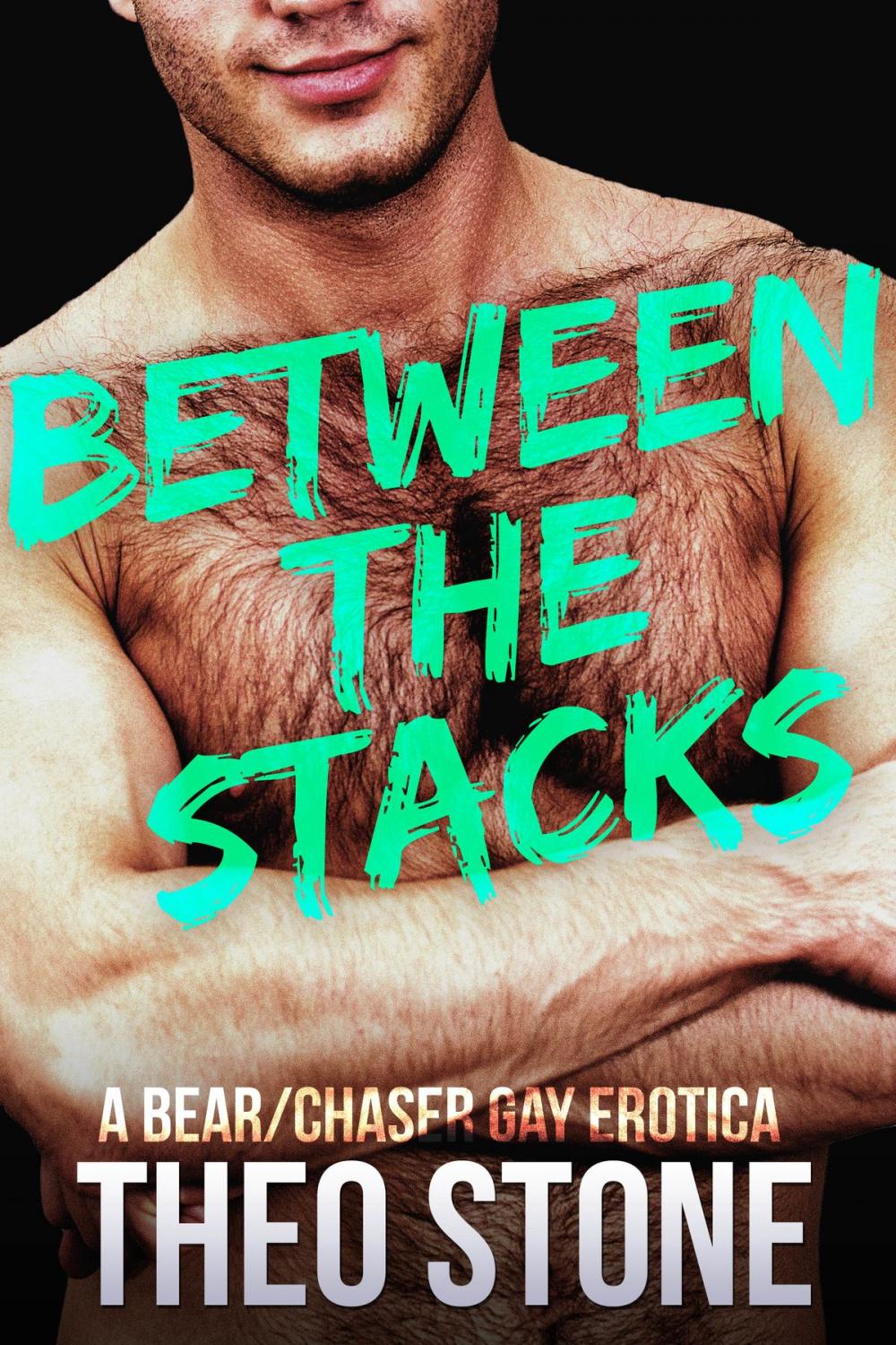 Big bigCover of Between The Stacks