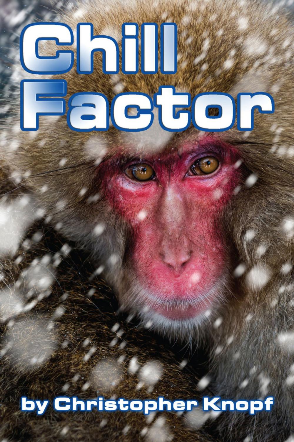 Big bigCover of Chill Factor