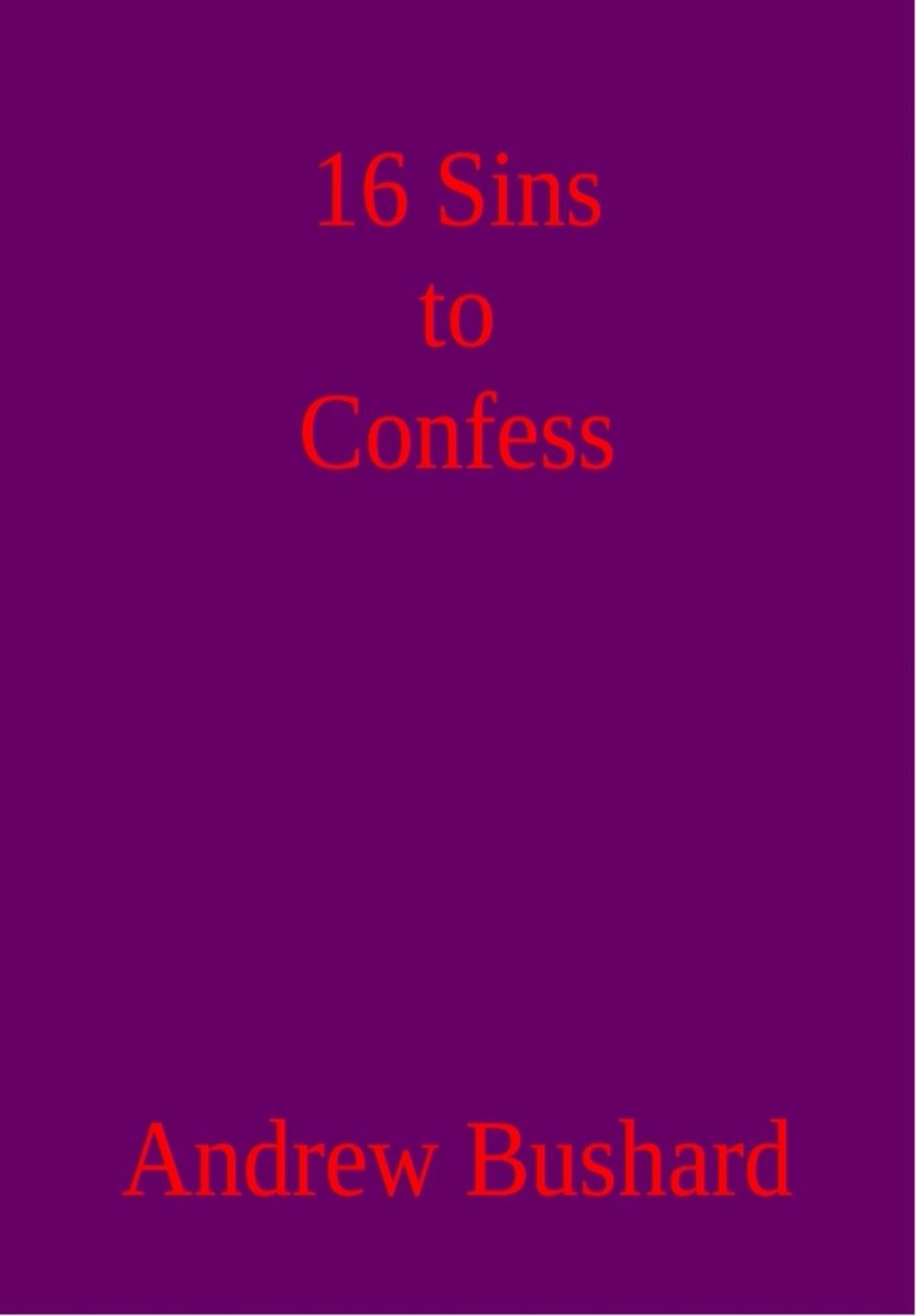 Big bigCover of 16 Sins to Confess