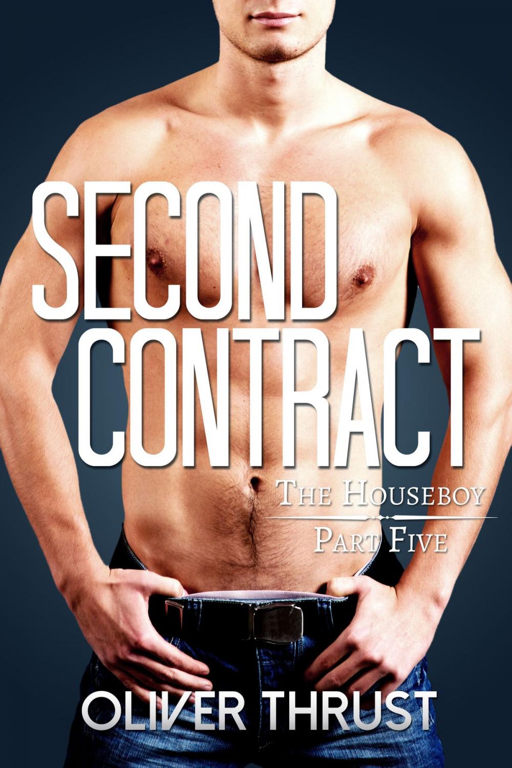 Big bigCover of Second Contract