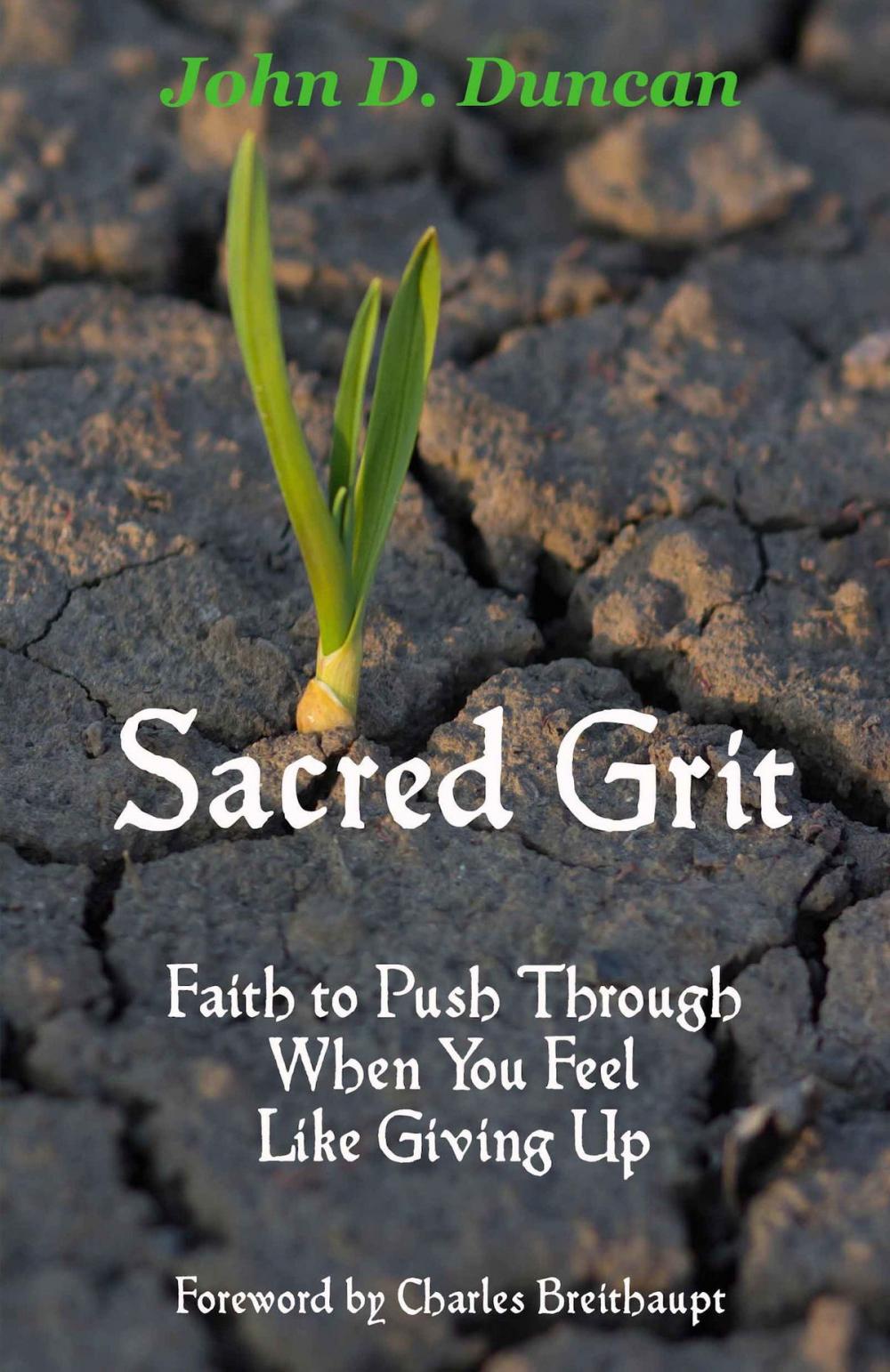 Big bigCover of Sacred Grit: Faith to Push Through When You Feel Like Giving Up