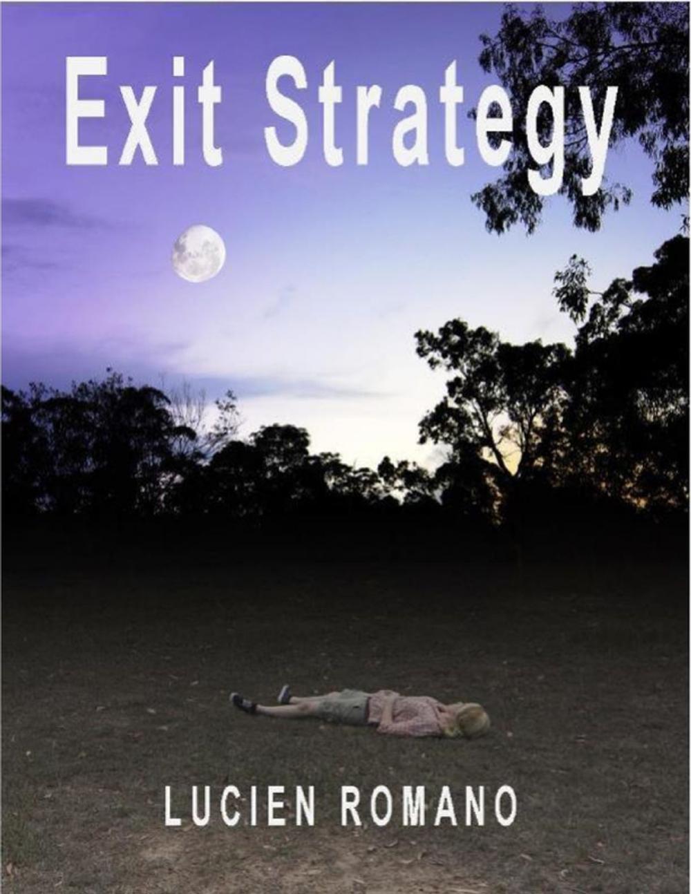 Big bigCover of Exit Strategy