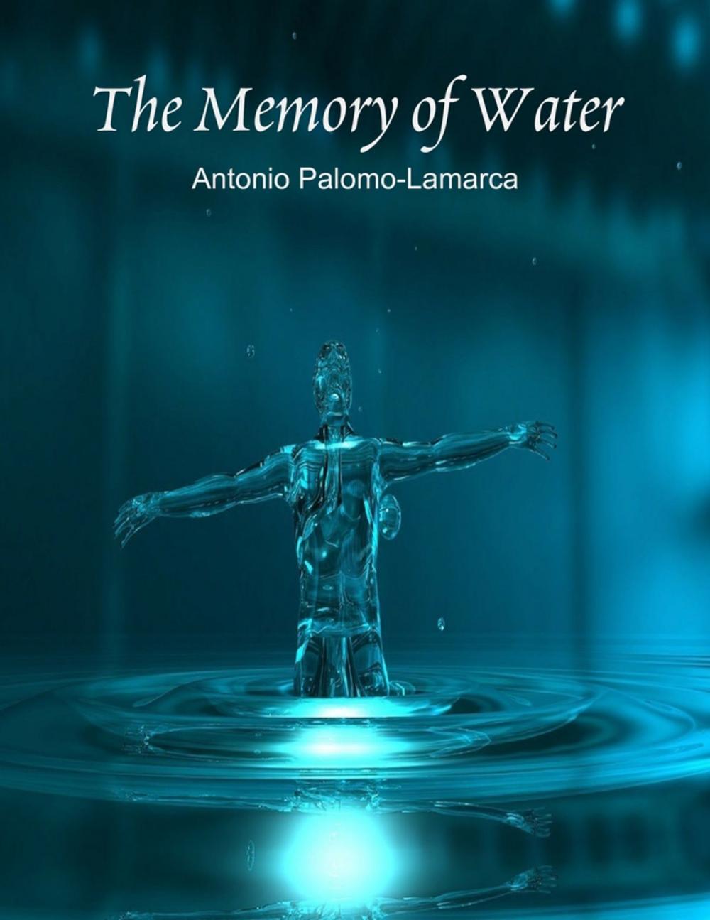 Big bigCover of The Memory of Water