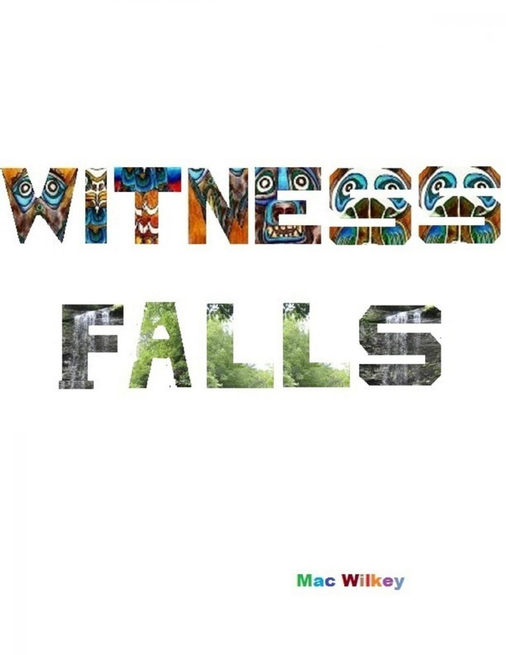 Big bigCover of Witness Falls