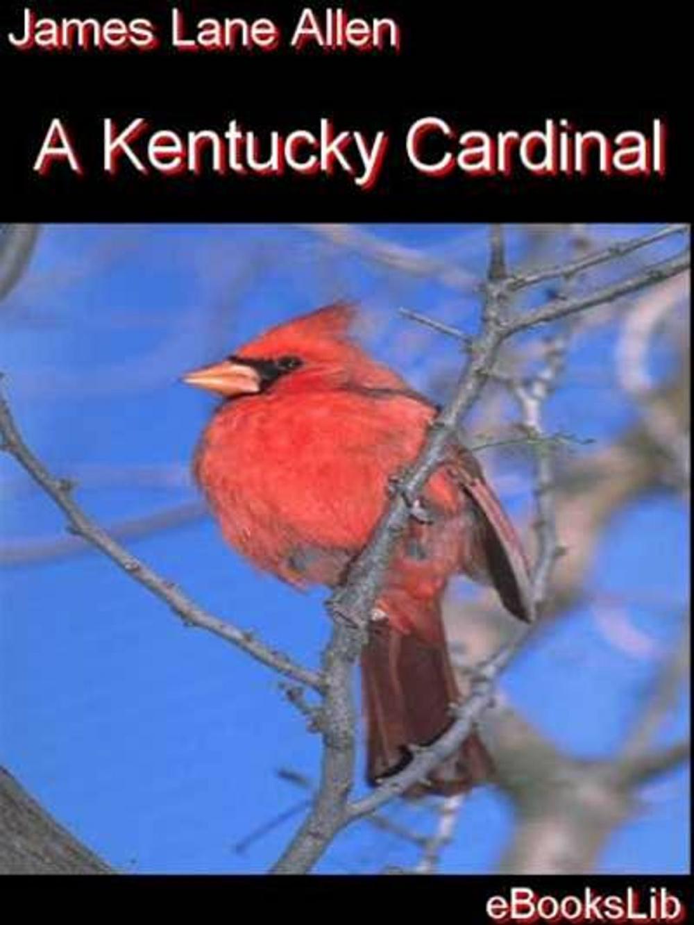 Big bigCover of A Kentucky Cardinal