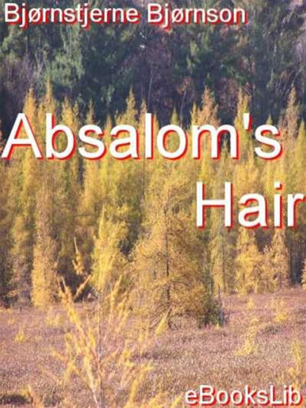Big bigCover of Absalom's Hair
