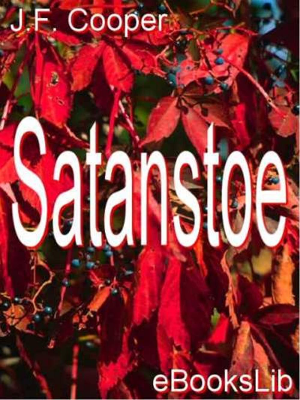 Big bigCover of Satanstoe