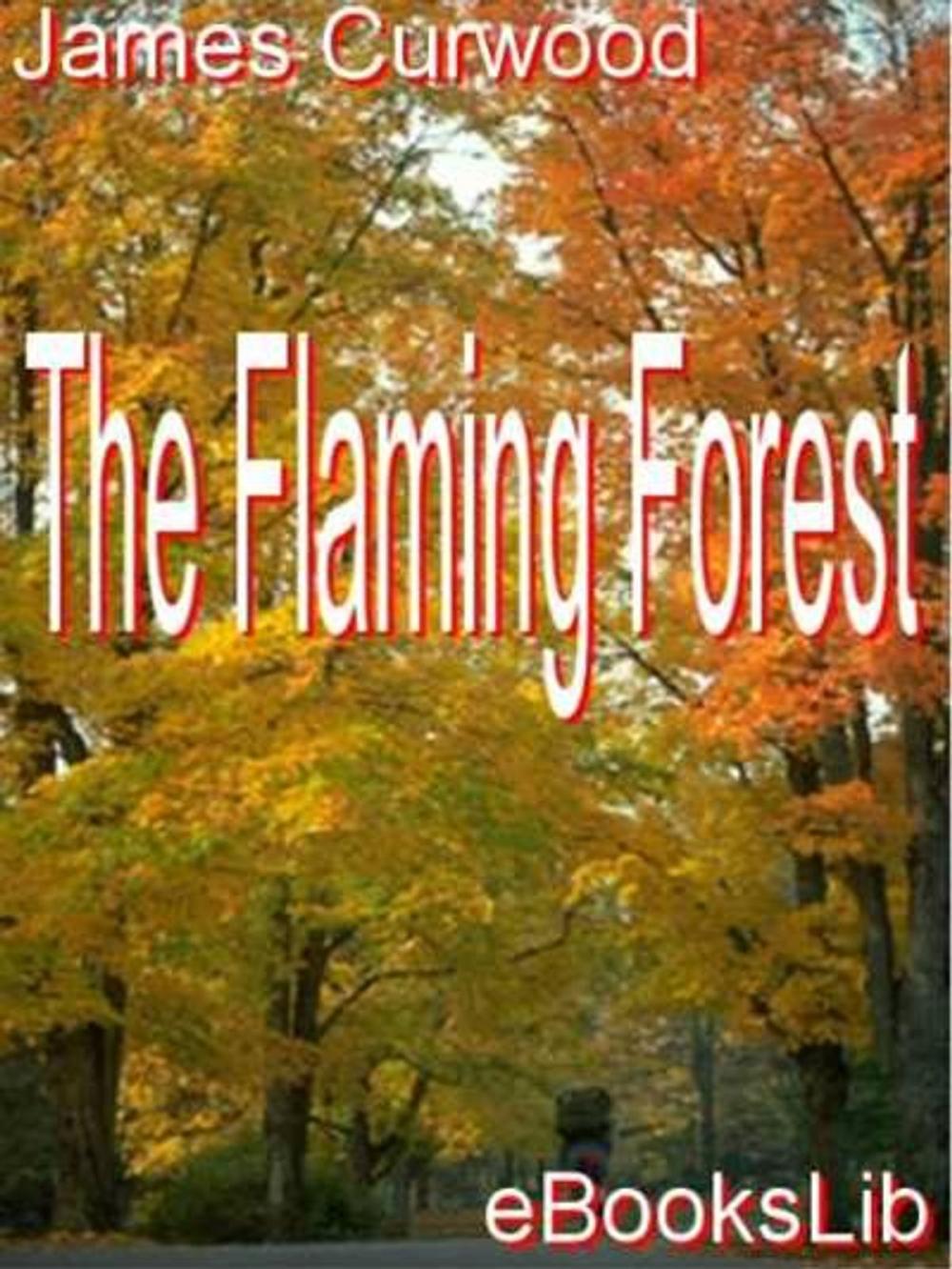 Big bigCover of The Flaming Forest