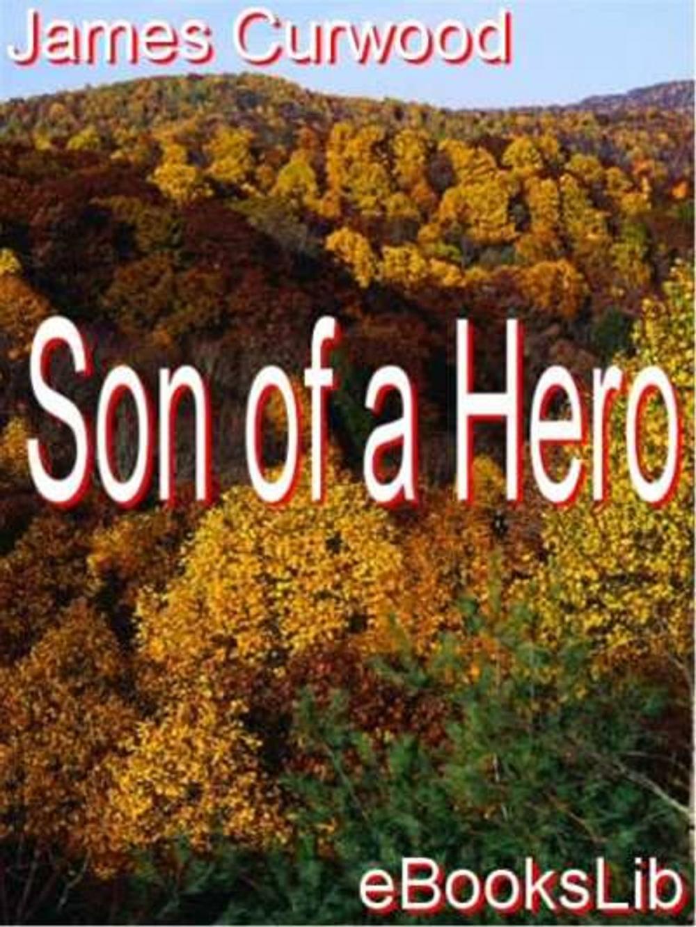 Big bigCover of Son of a Hero