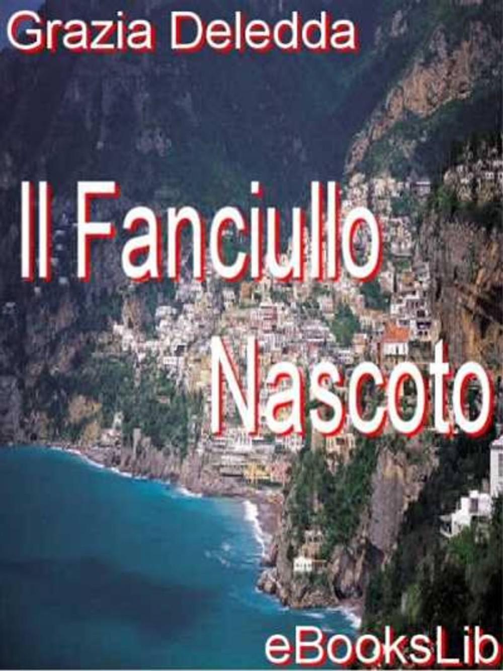 Big bigCover of Il Fanciullo Nascoto