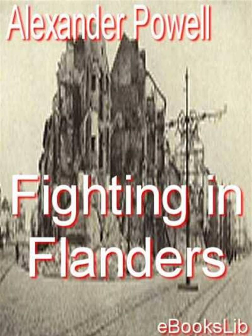 Big bigCover of Fighting in flanders