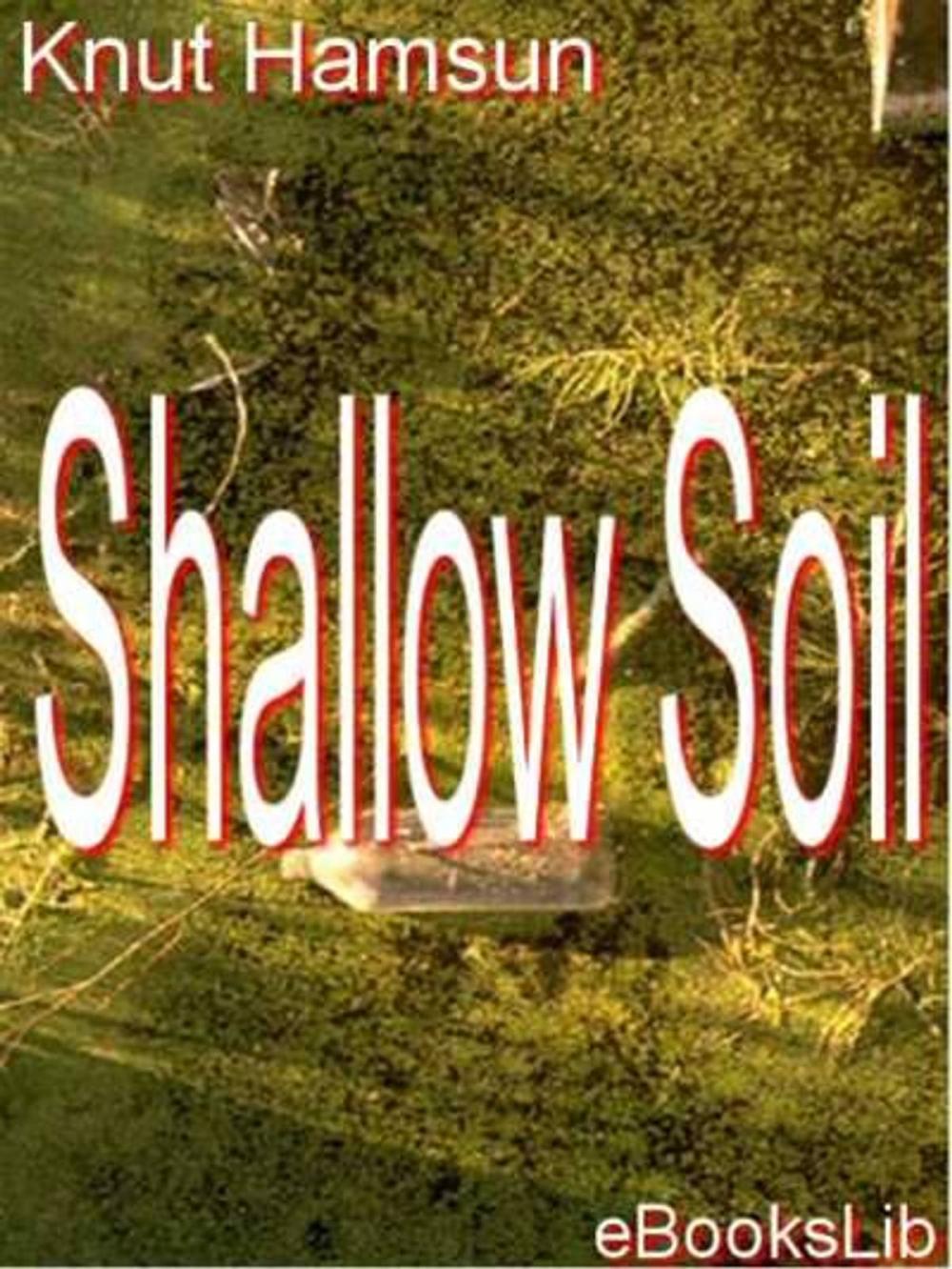 Big bigCover of Shallow Soil