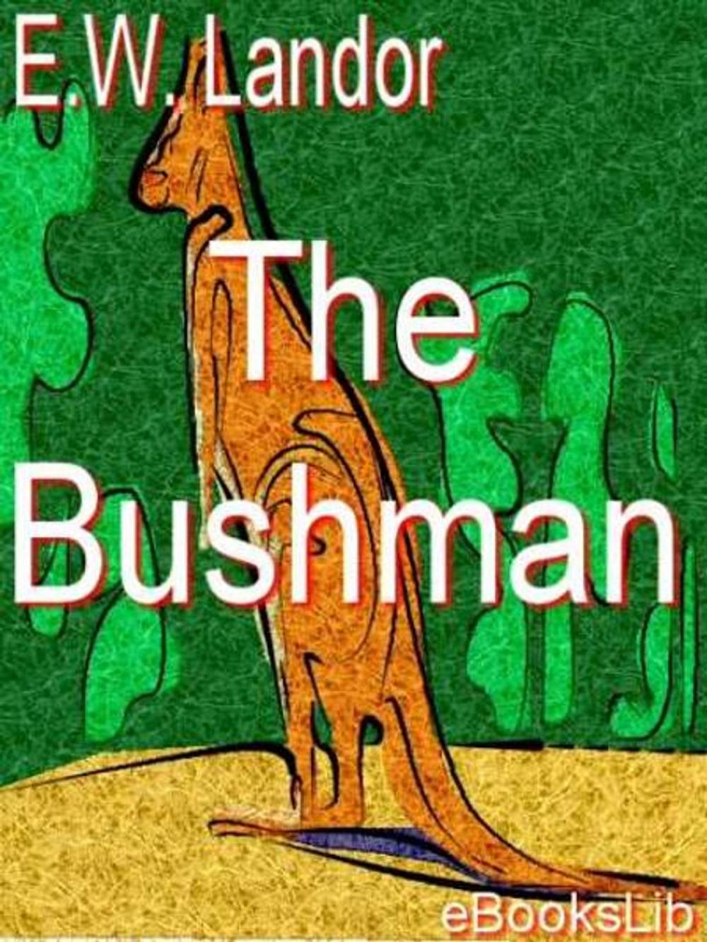 Big bigCover of The Bushman