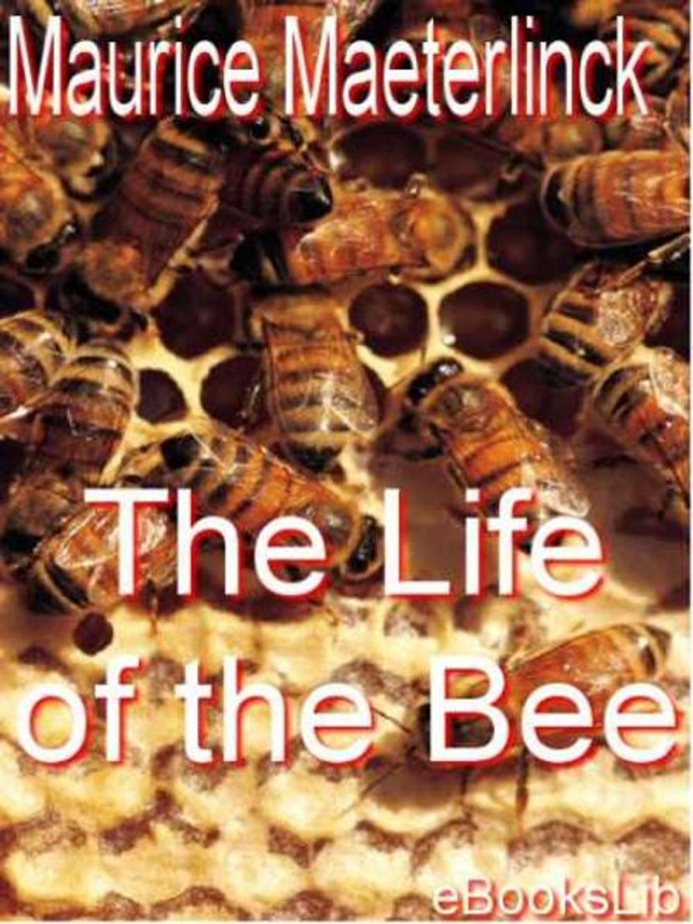 Big bigCover of The Life of the Bee