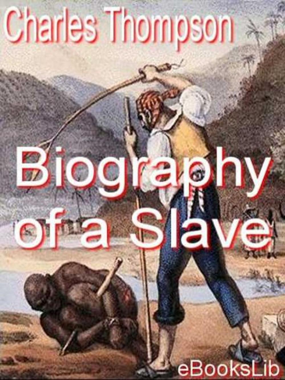 Big bigCover of Biography of a Slave