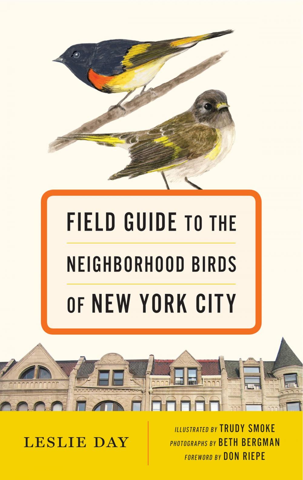 Big bigCover of Field Guide to the Neighborhood Birds of New York City