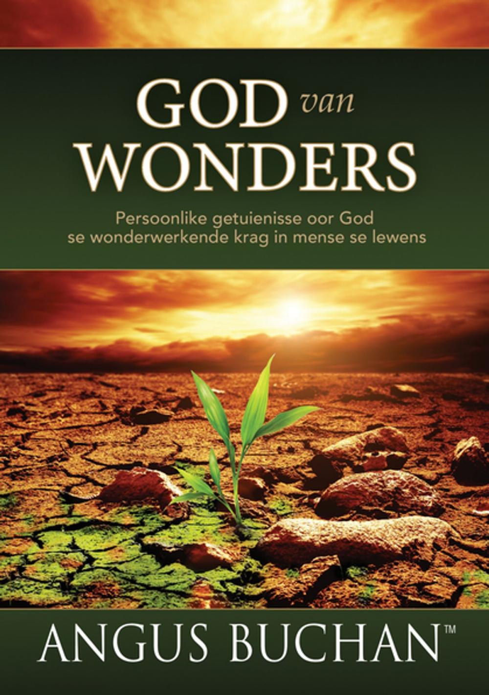 Big bigCover of God van wonders (eBoek)