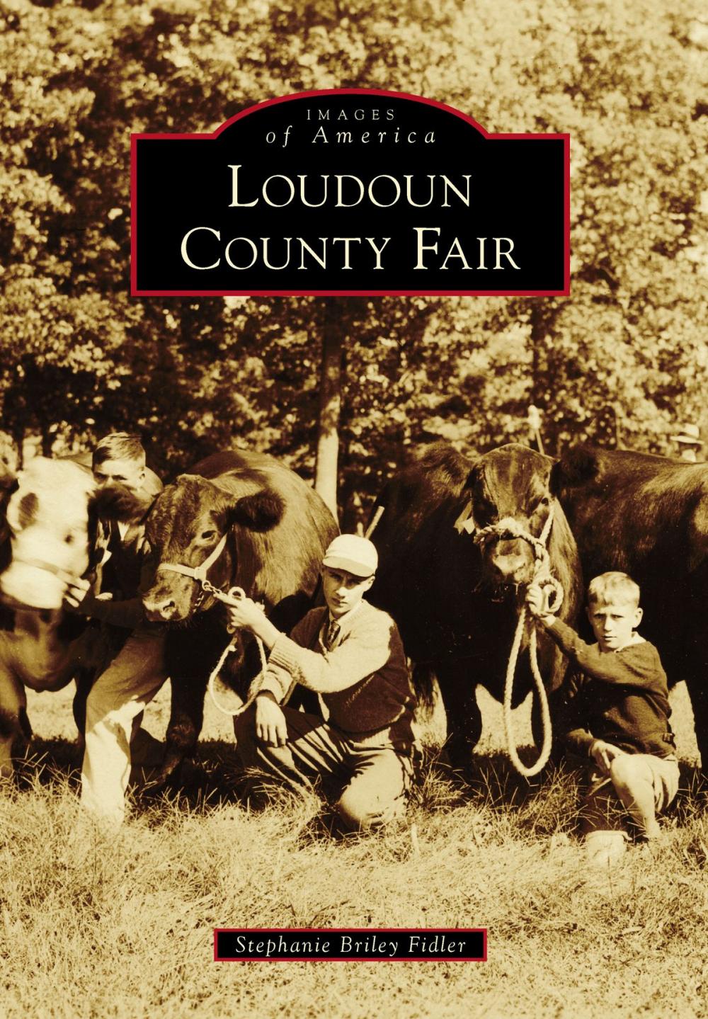 Big bigCover of Loudoun County Fair