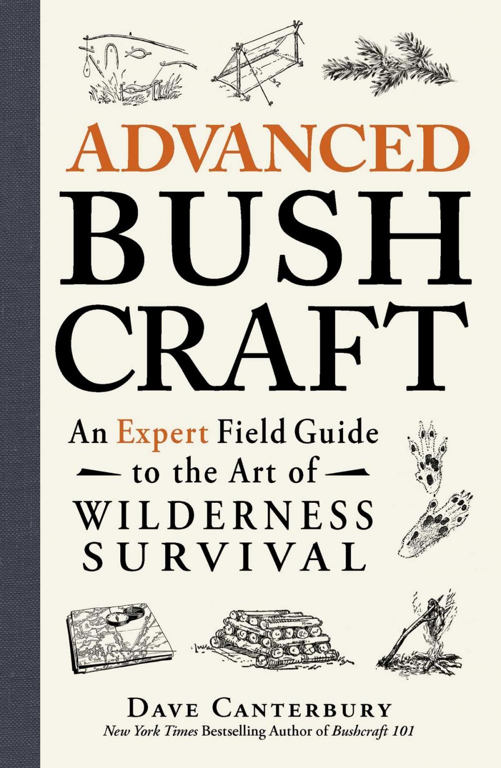 Big bigCover of Advanced Bushcraft