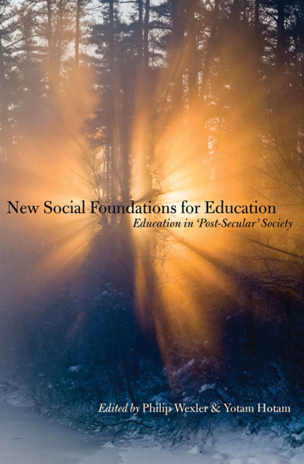 Big bigCover of New Social Foundations for Education