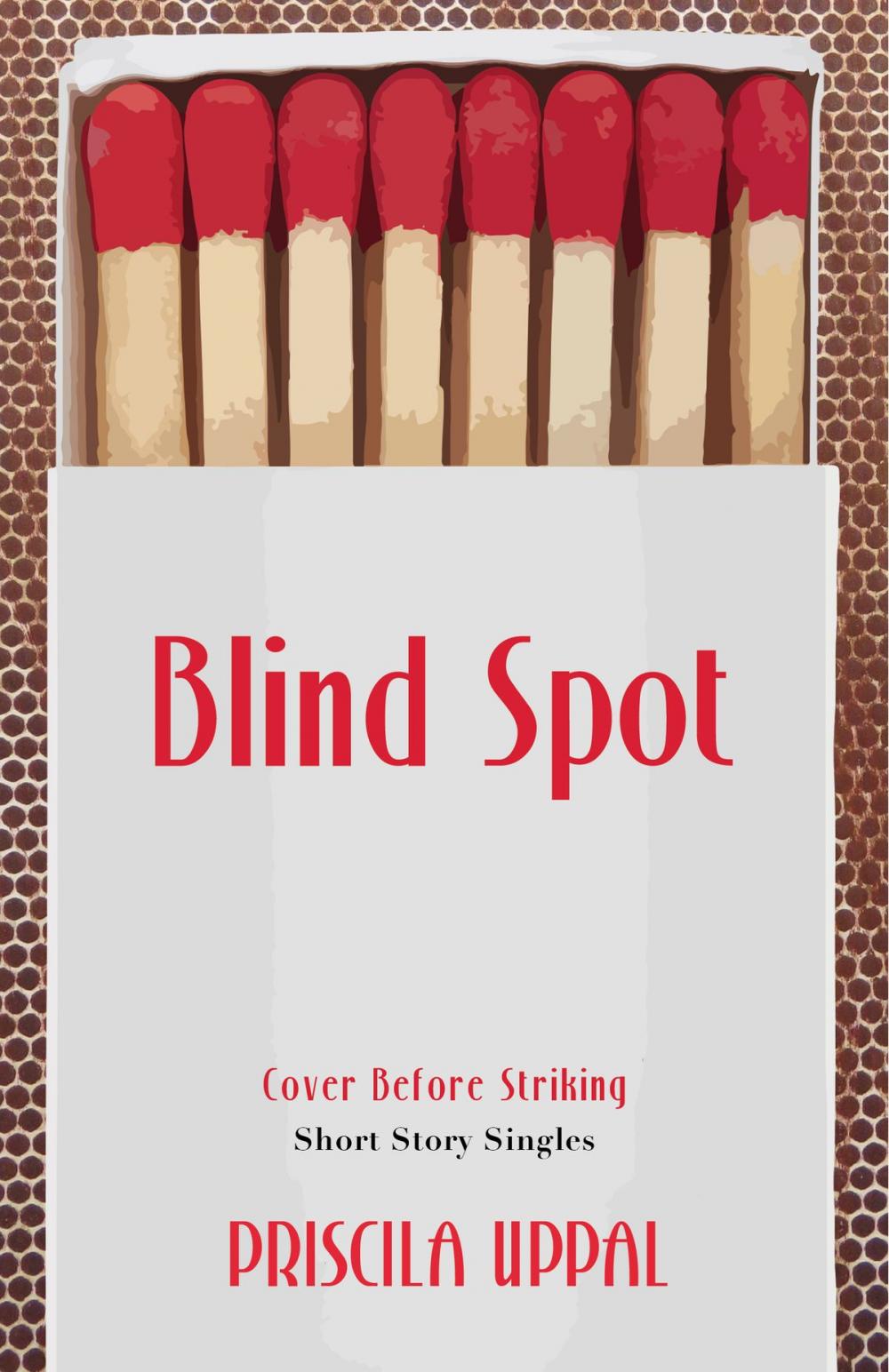 Big bigCover of Blind Spot