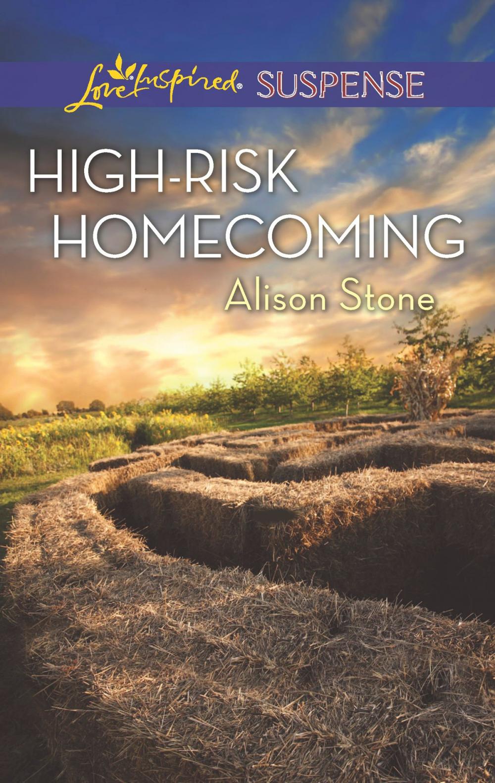 Big bigCover of High-Risk Homecoming