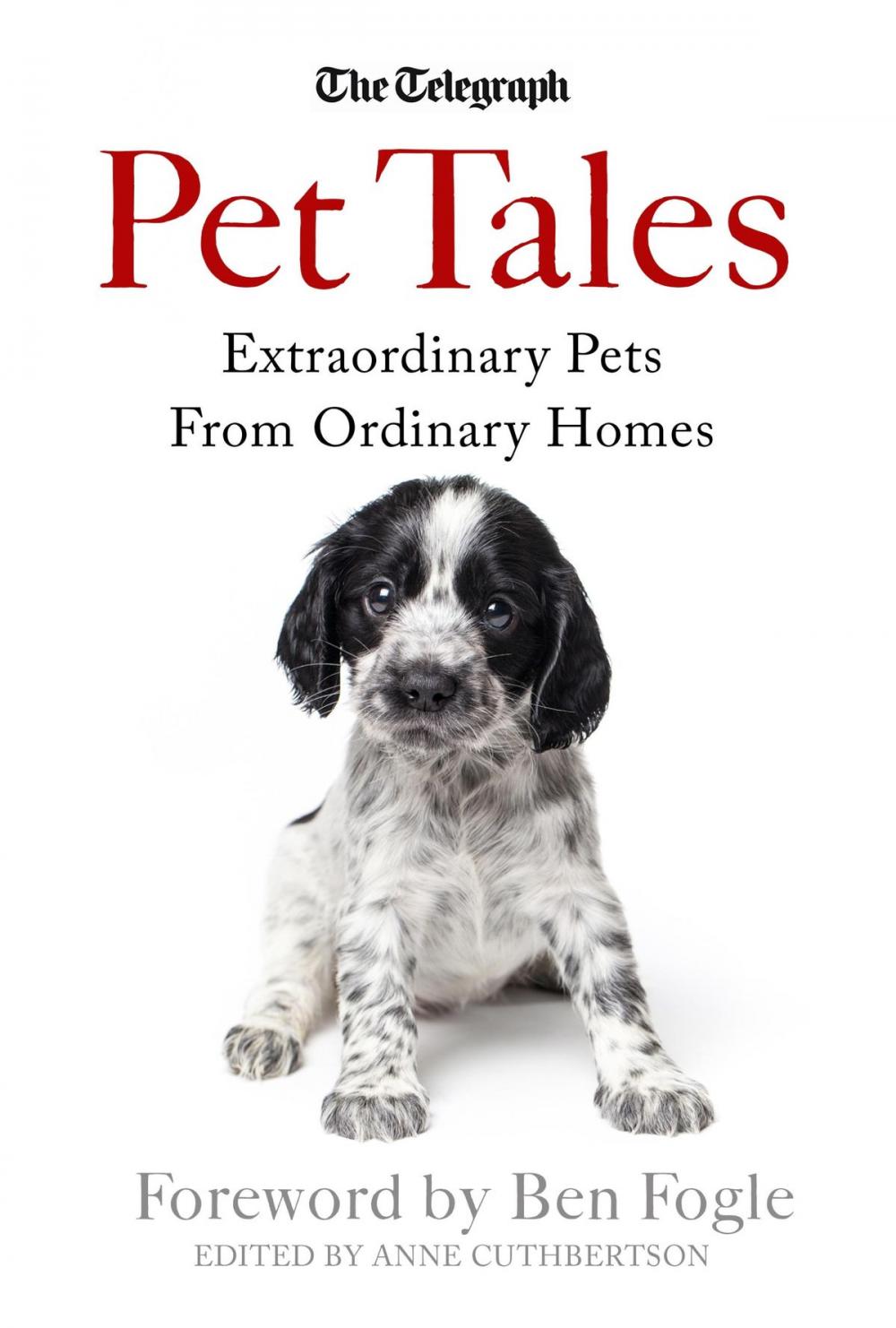 Big bigCover of Pet Tales