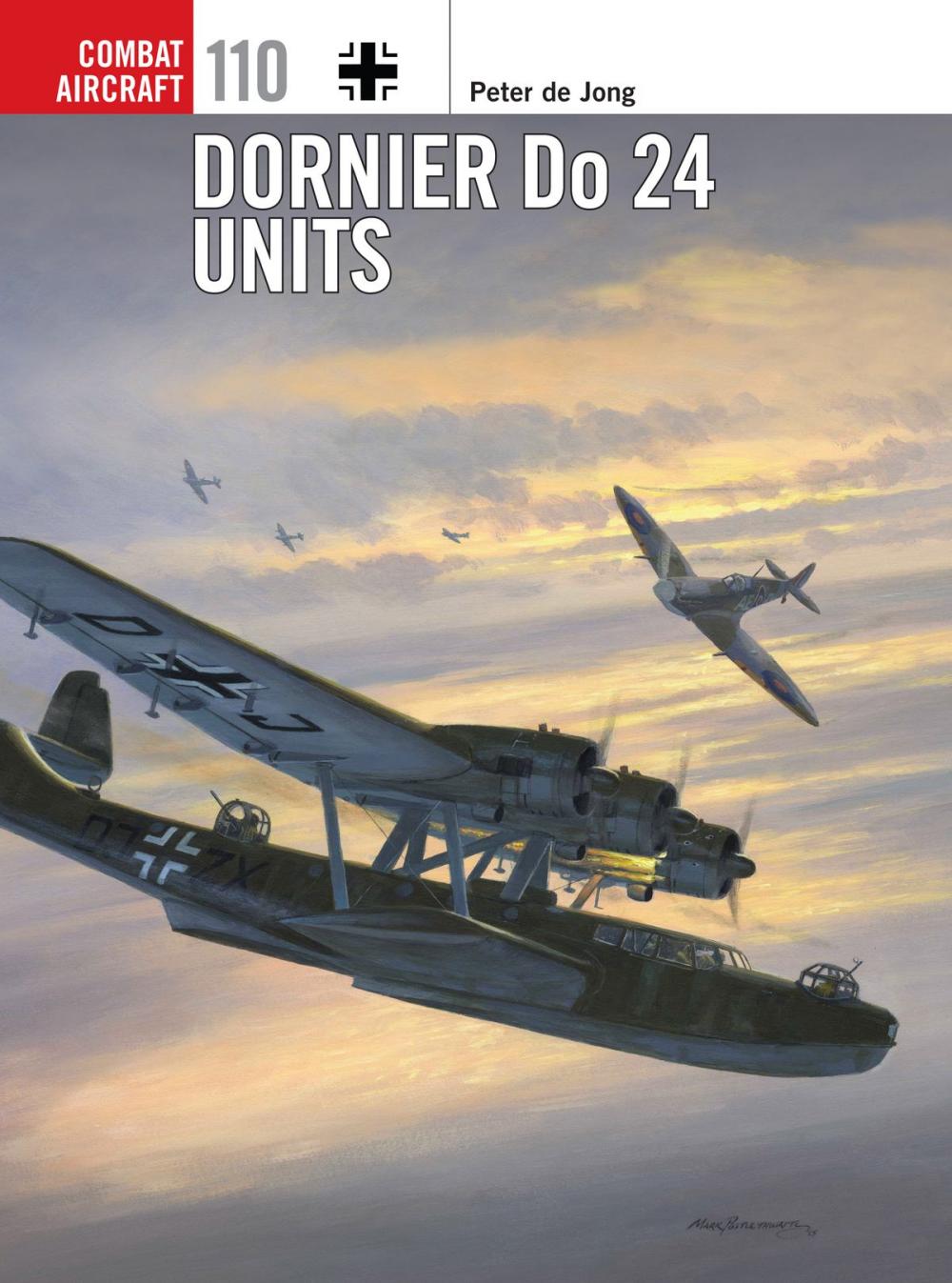 Big bigCover of Dornier Do 24 Units