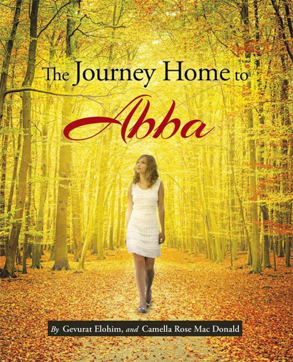 Big bigCover of The Journey Home to Abba